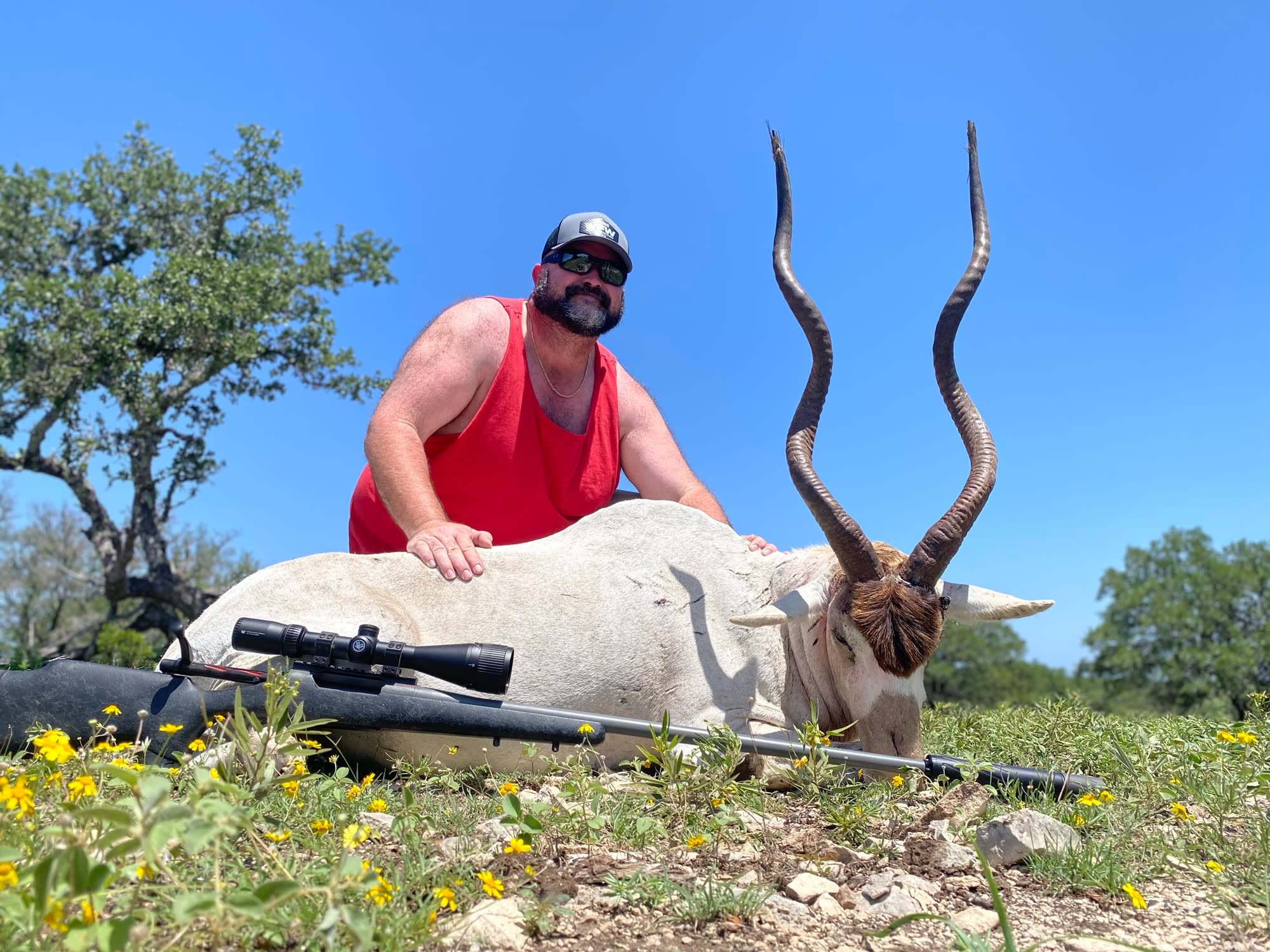 Addax exotic hunting