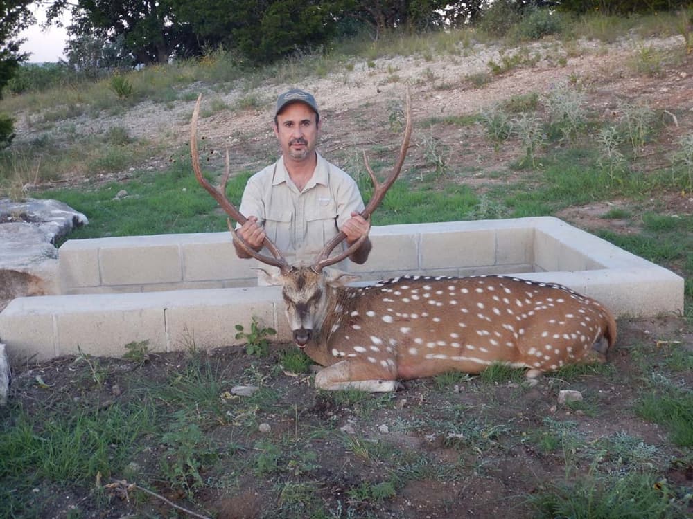 Exotic trophy harvest 6