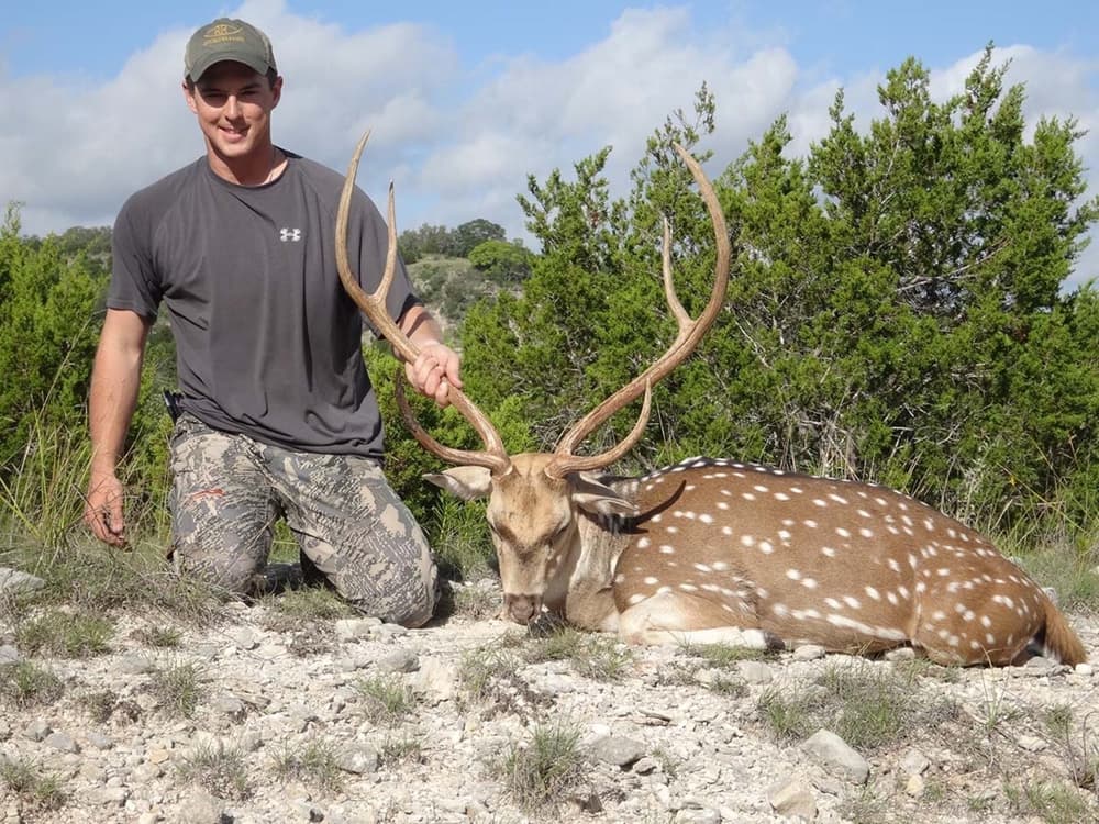 Exotic trophy harvest 5