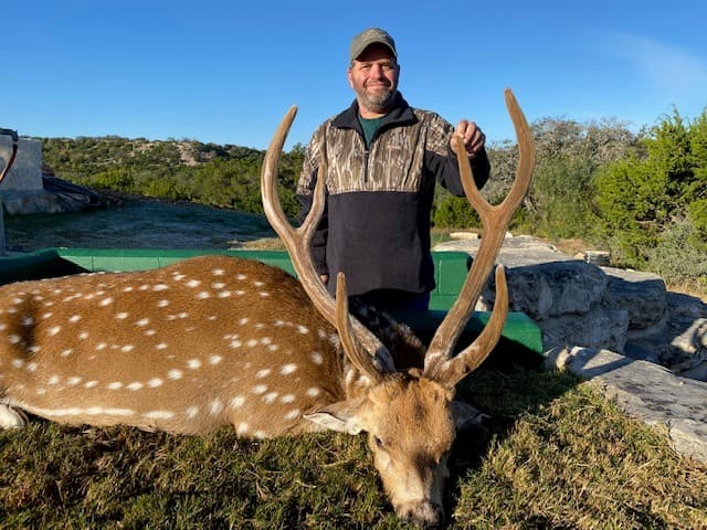 Axis Deer exotic hunting